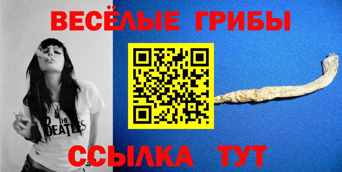 Псилоцибиновые грибы мухоморы Бердск