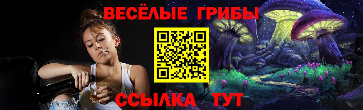 Галлюциногенные грибы Magic Shrooms  Вход с VPN  Бердск  купить закладку  Галлюциногенные грибы MAGIC MUSHROOMS 